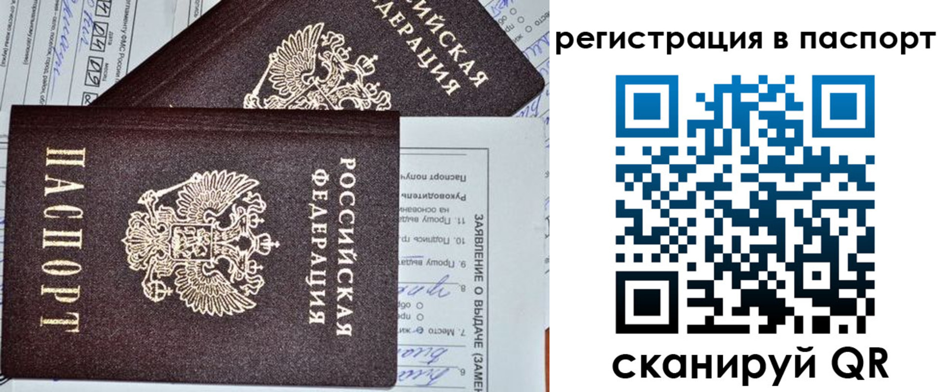 прописка законно в Мончегорске